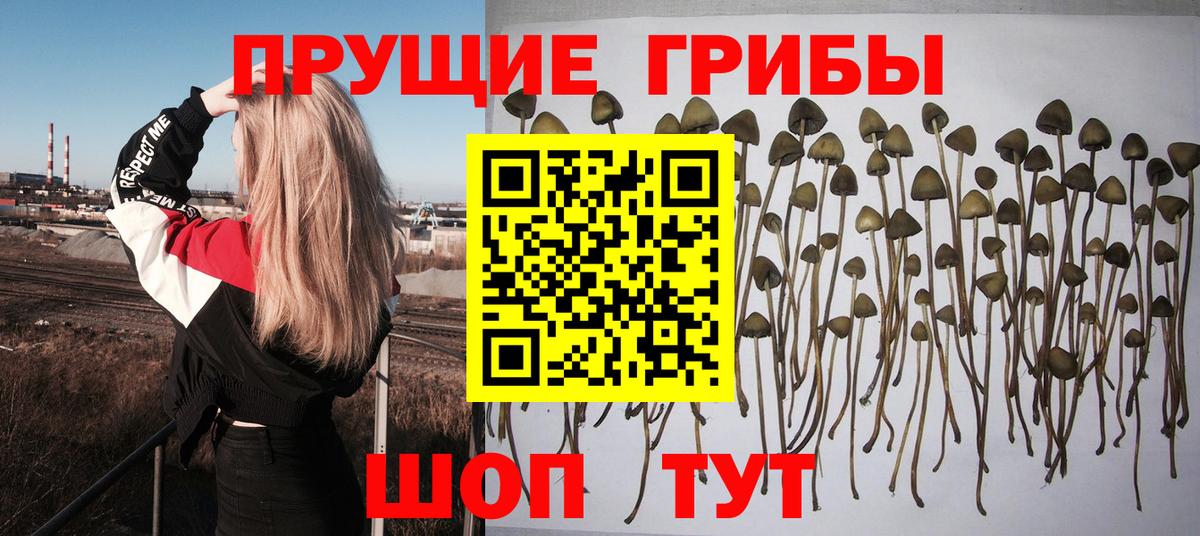 Семёнов  Галлюциногенные грибы Cubensis  Вход с VPN  Галлюциногенные грибы Magic Shrooms 